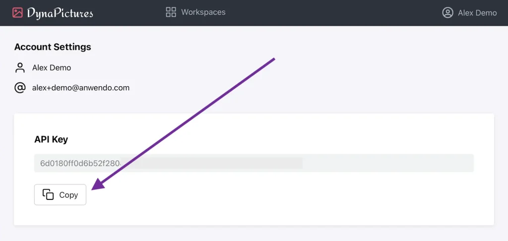 Copying API key to automate designs